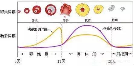 微信图片_20180514142402.jpg