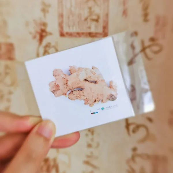微信图片_20220921090219.jpg